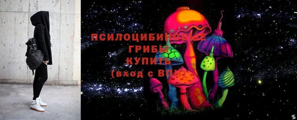 PSILOCYBIN Алексин