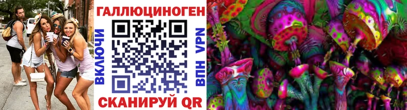 где купить   Сунжа  OMG сайт  Галлюциногенные грибы ЛСД 